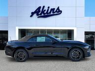 2022 Ford Mustang EcoBoost Premium Winder GA 2022 Ford Mustang EcoBoost Premium Winder GA