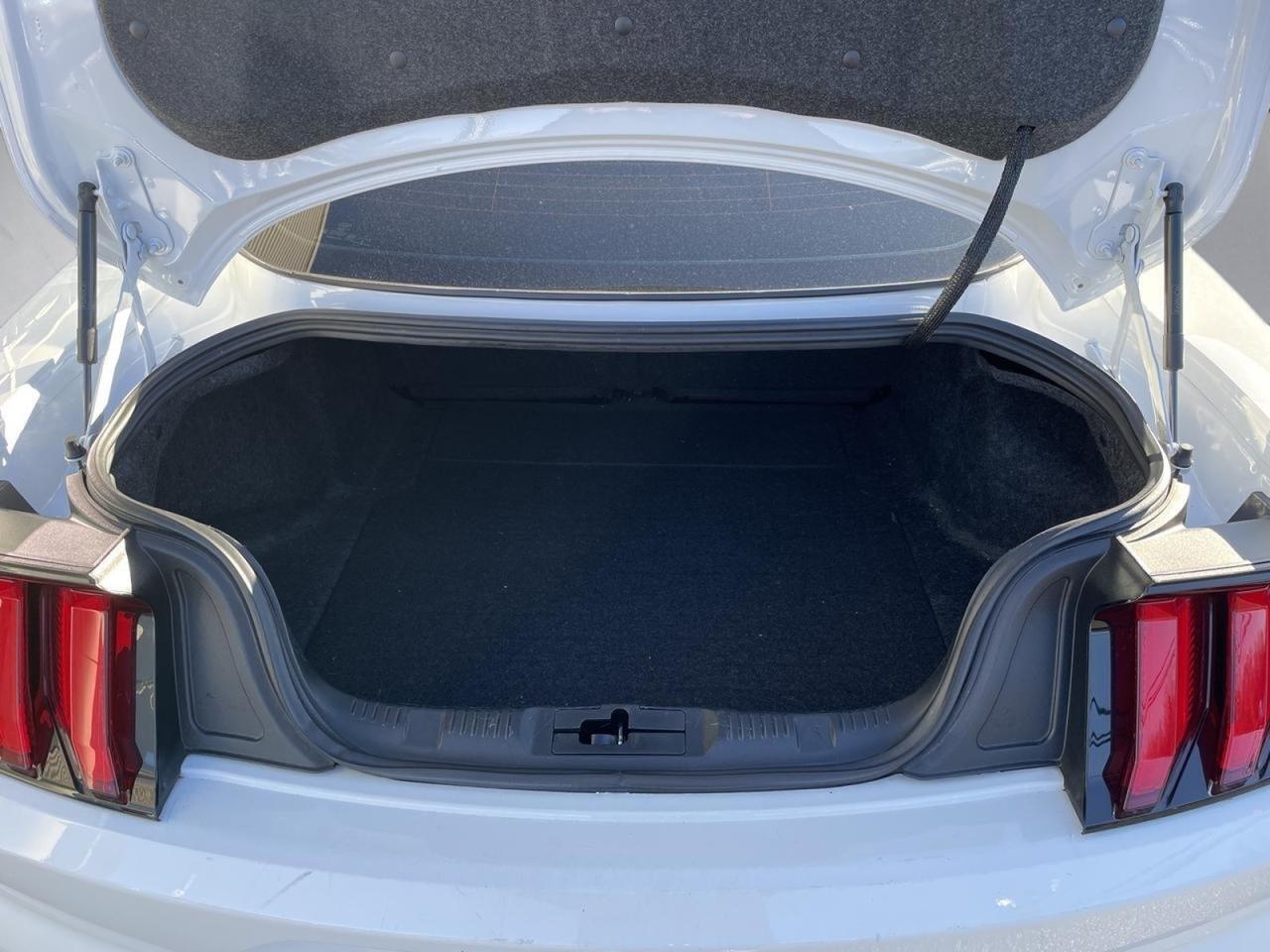 2022 Ford Mustang EcoBoost Premium Springfield VA