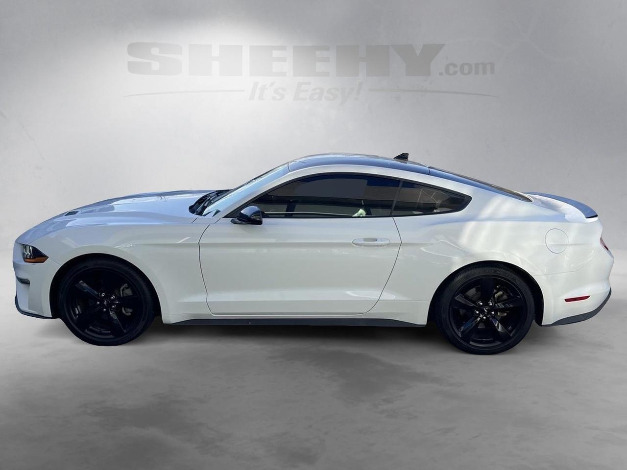 2022 Ford Mustang EcoBoost Premium Springfield VA
