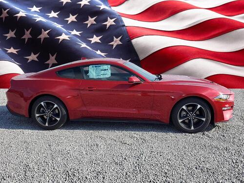 2022 Ford Mustang EcoBoost Tampa FL 2022 Ford Mustang EcoBoost Tampa FL