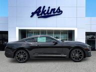 2022 Ford Mustang EcoBoost Winder GA 2022 Ford Mustang EcoBoost Winder GA