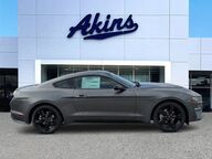 2022 Ford Mustang EcoBoost Winder GA 2022 Ford Mustang EcoBoost Winder GA
