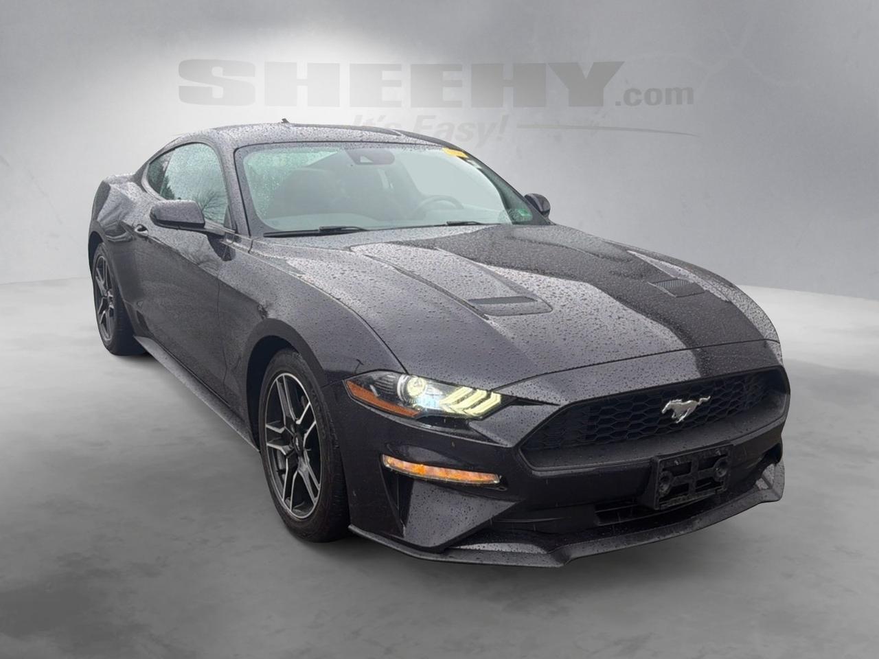 2022 Ford Mustang EcoBoost Ashland VA