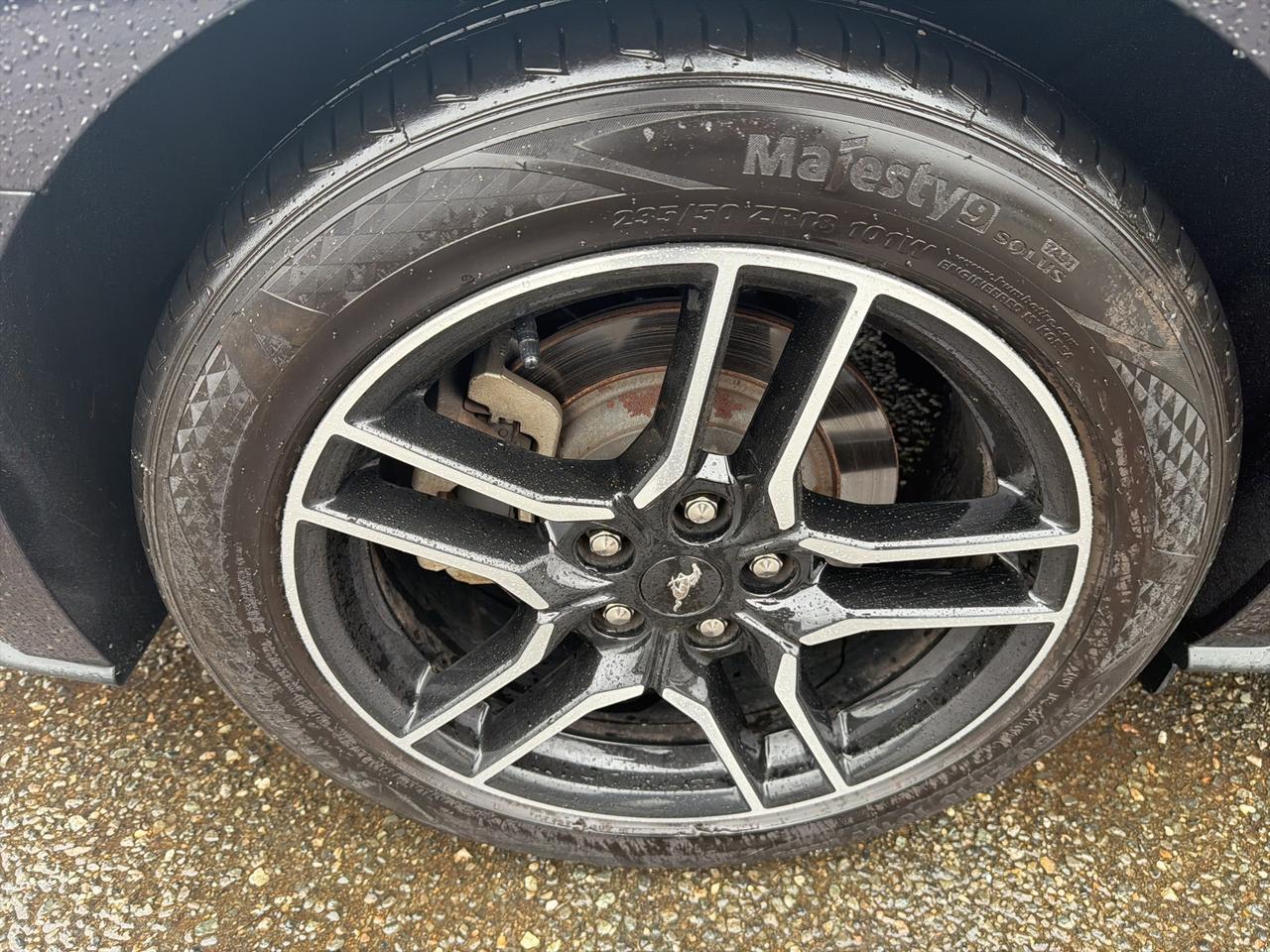 2022 Ford Mustang EcoBoost Ashland VA