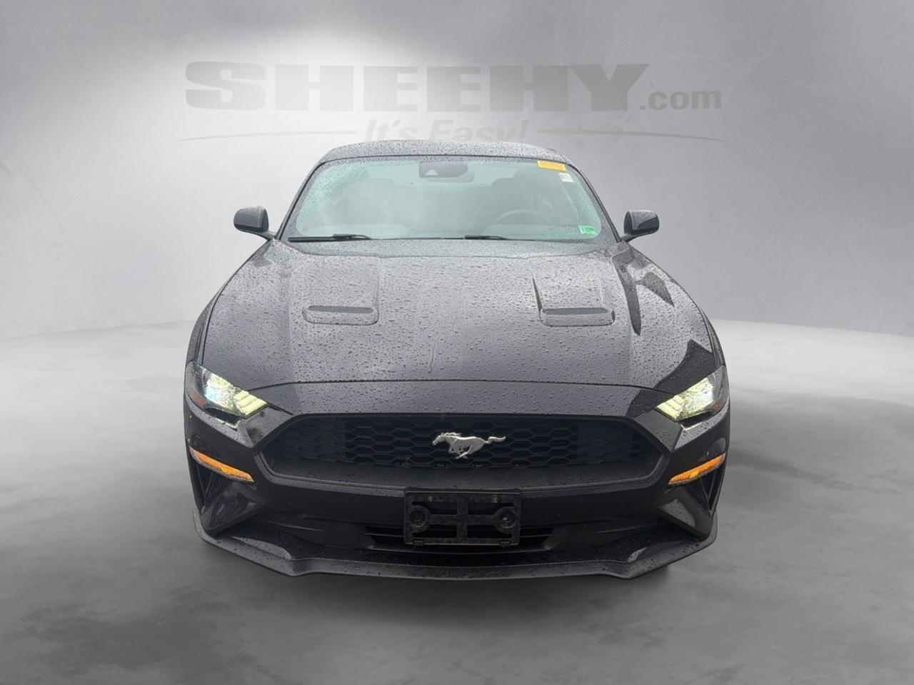 2022 Ford Mustang EcoBoost Ashland VA