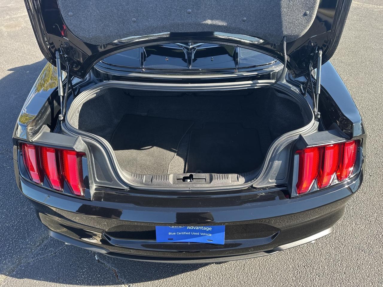 2022 Ford Mustang EcoBoost Richmond VA