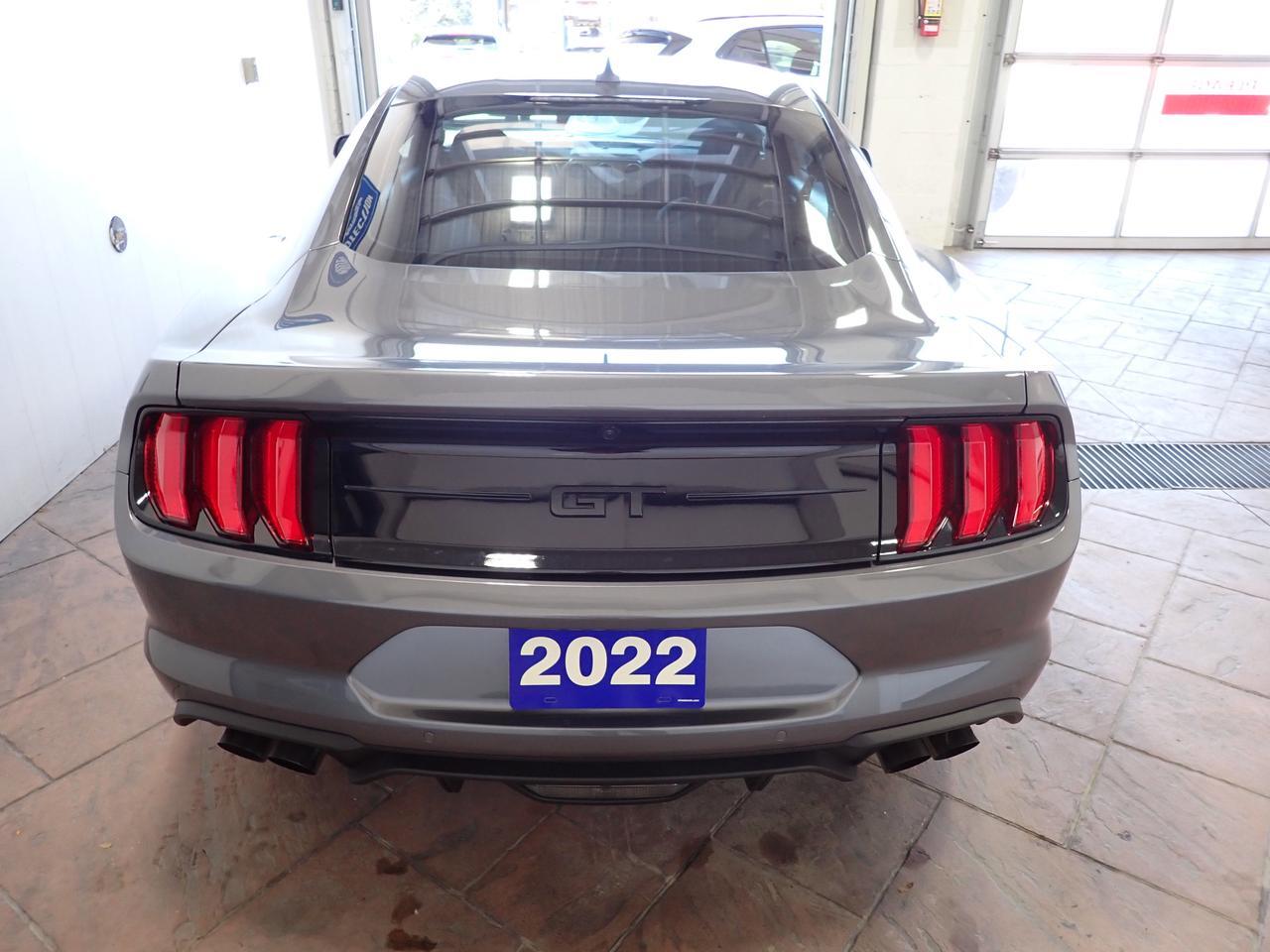 2022 Ford Mustang GT FASTBACK Listowel ON