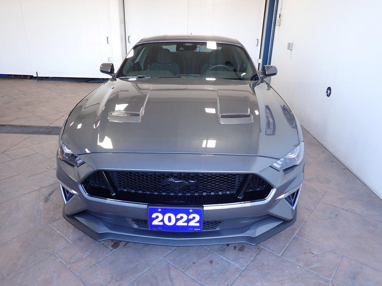 2022 Ford Mustang GT FASTBACK Listowel ON