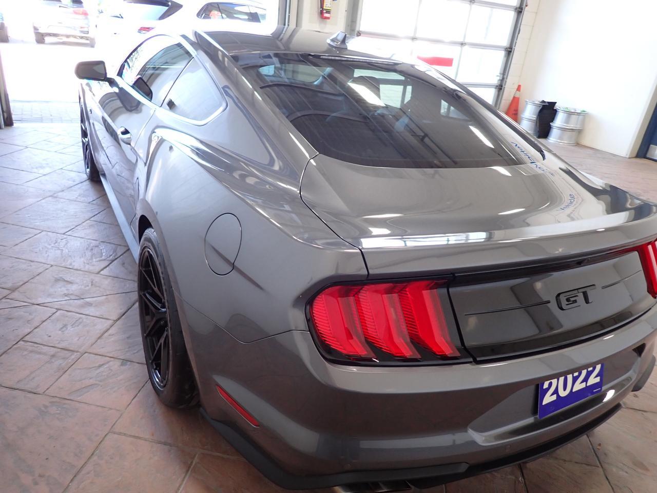 2022 Ford Mustang GT FASTBACK Listowel ON