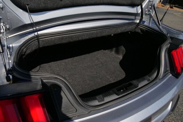 2022 Ford Mustang GT Premium / Convertible / Cooled Seats! High Point NC