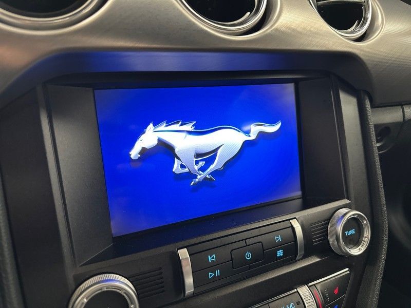 2022 Ford Mustang GT Premium Worcester MA