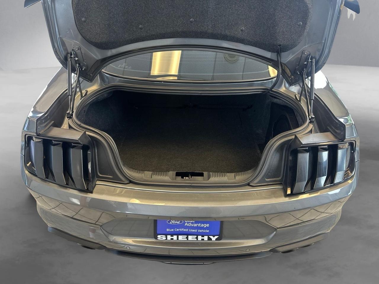 2022 Ford Mustang GT Premium Richmond VA