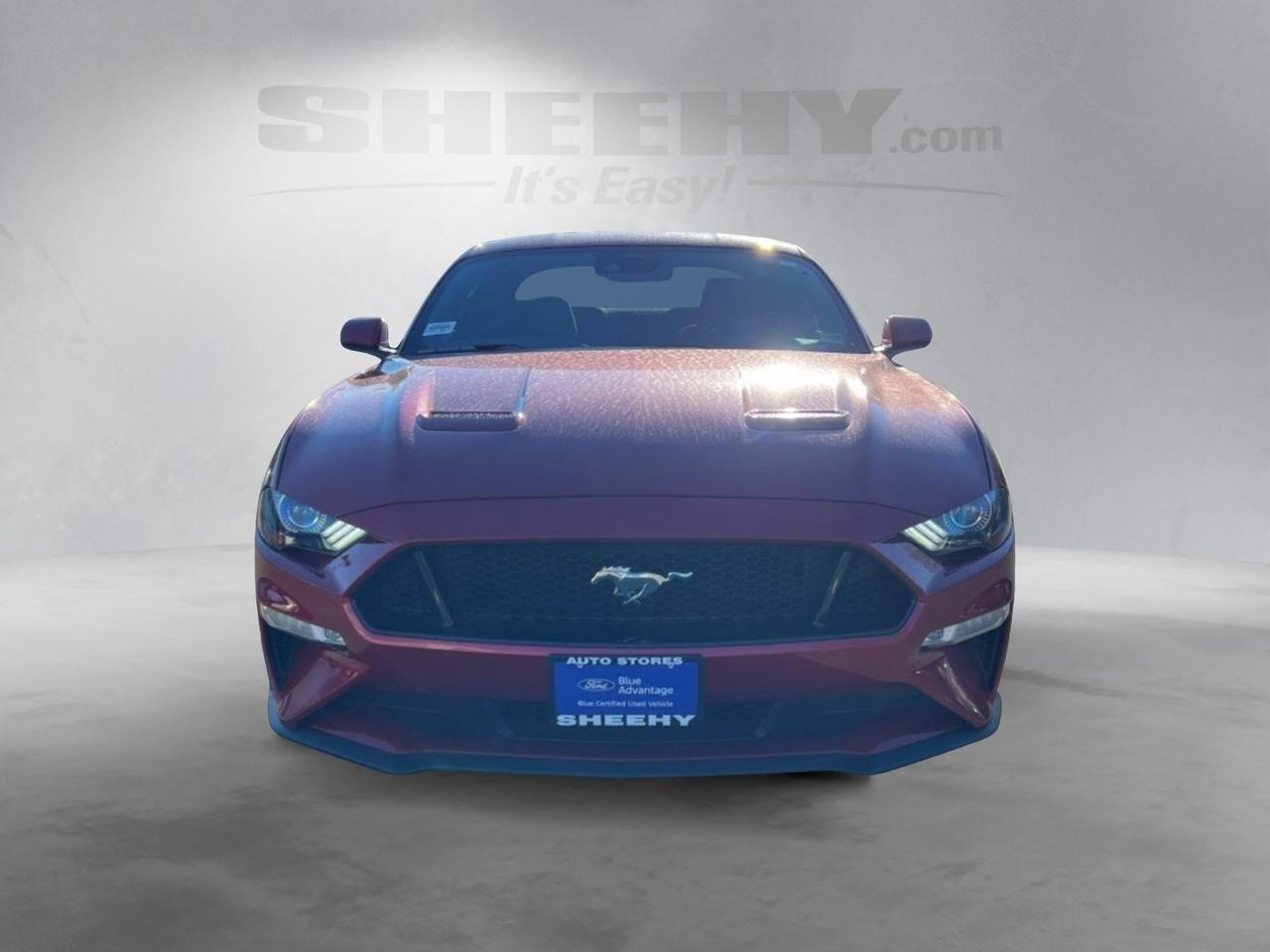 2022 Ford Mustang GT Ashland VA
