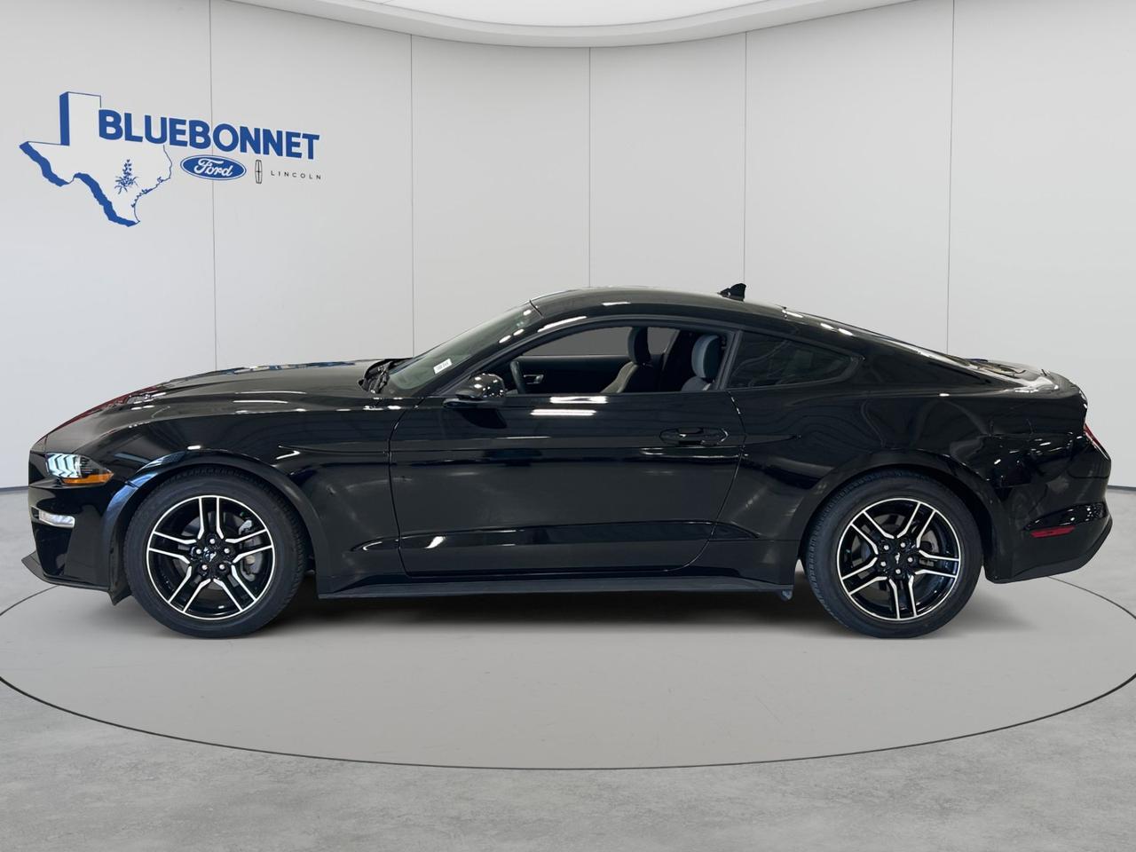 2022 Ford Mustang I4CP New Braunfels TX
