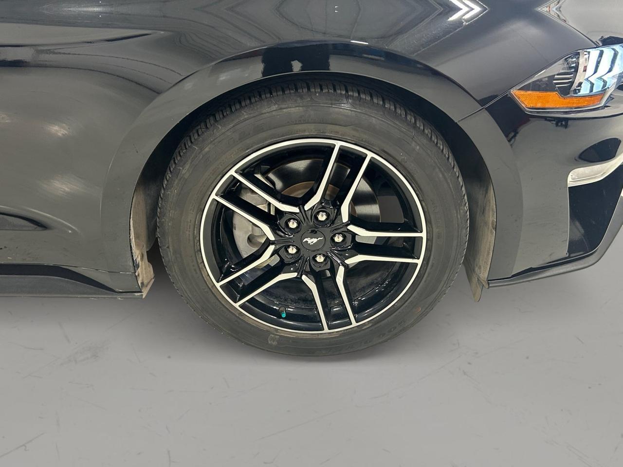2022 Ford Mustang I4CP New Braunfels TX