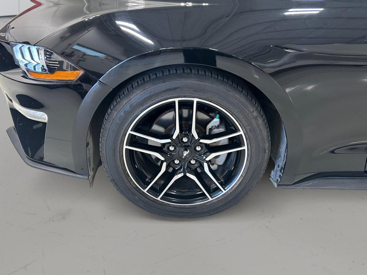 2022 Ford Mustang I4CP New Braunfels TX