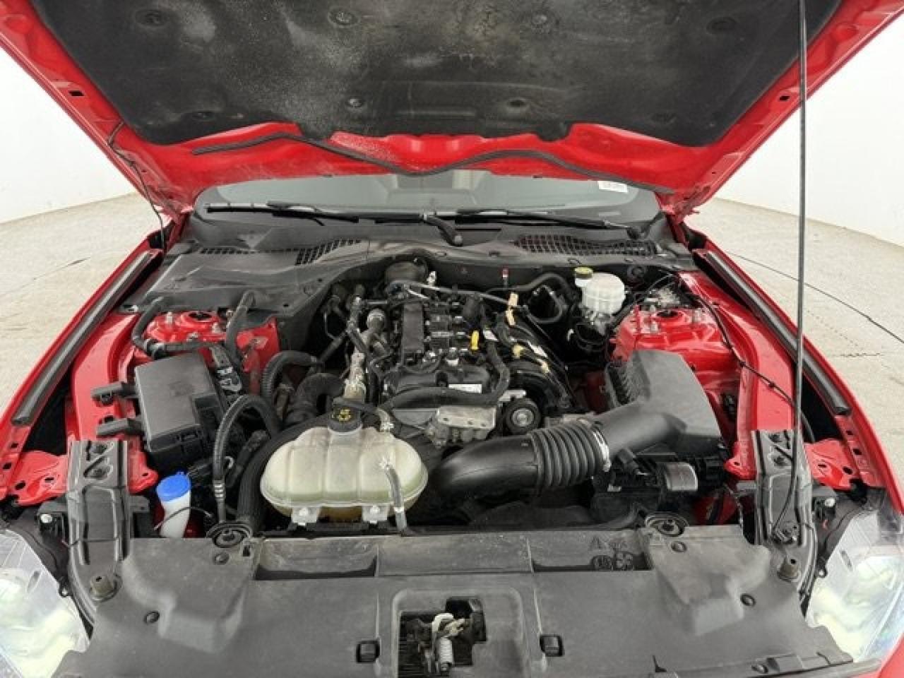 2022 Ford Mustang I4CP New Braunfels TX