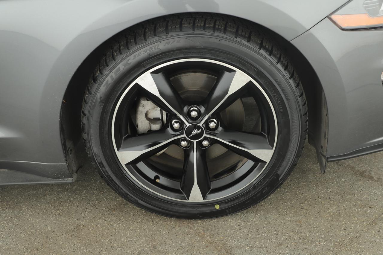 2022 Ford Mustang I4CP New Braunfels TX