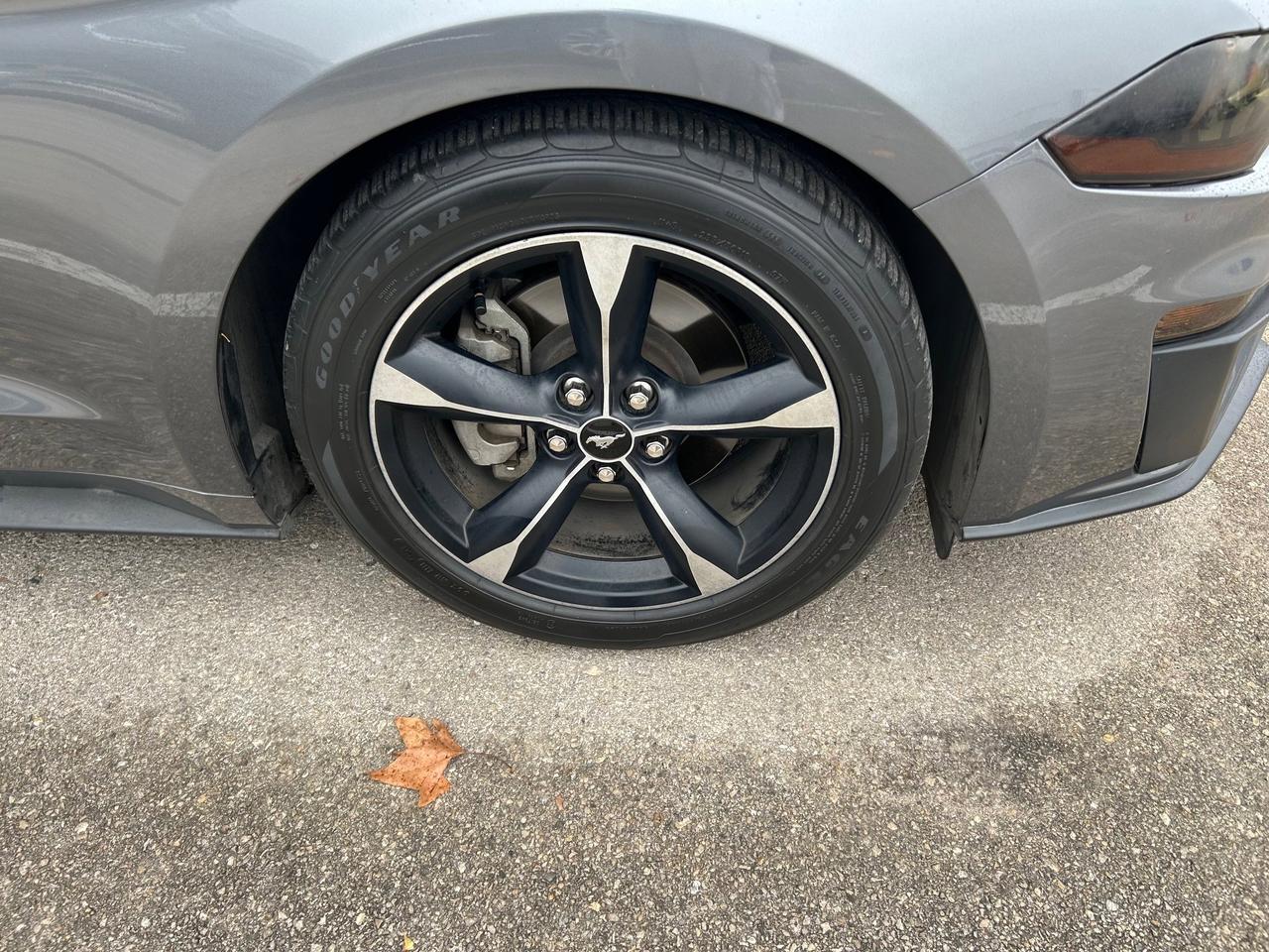 2022 Ford Mustang I4CP