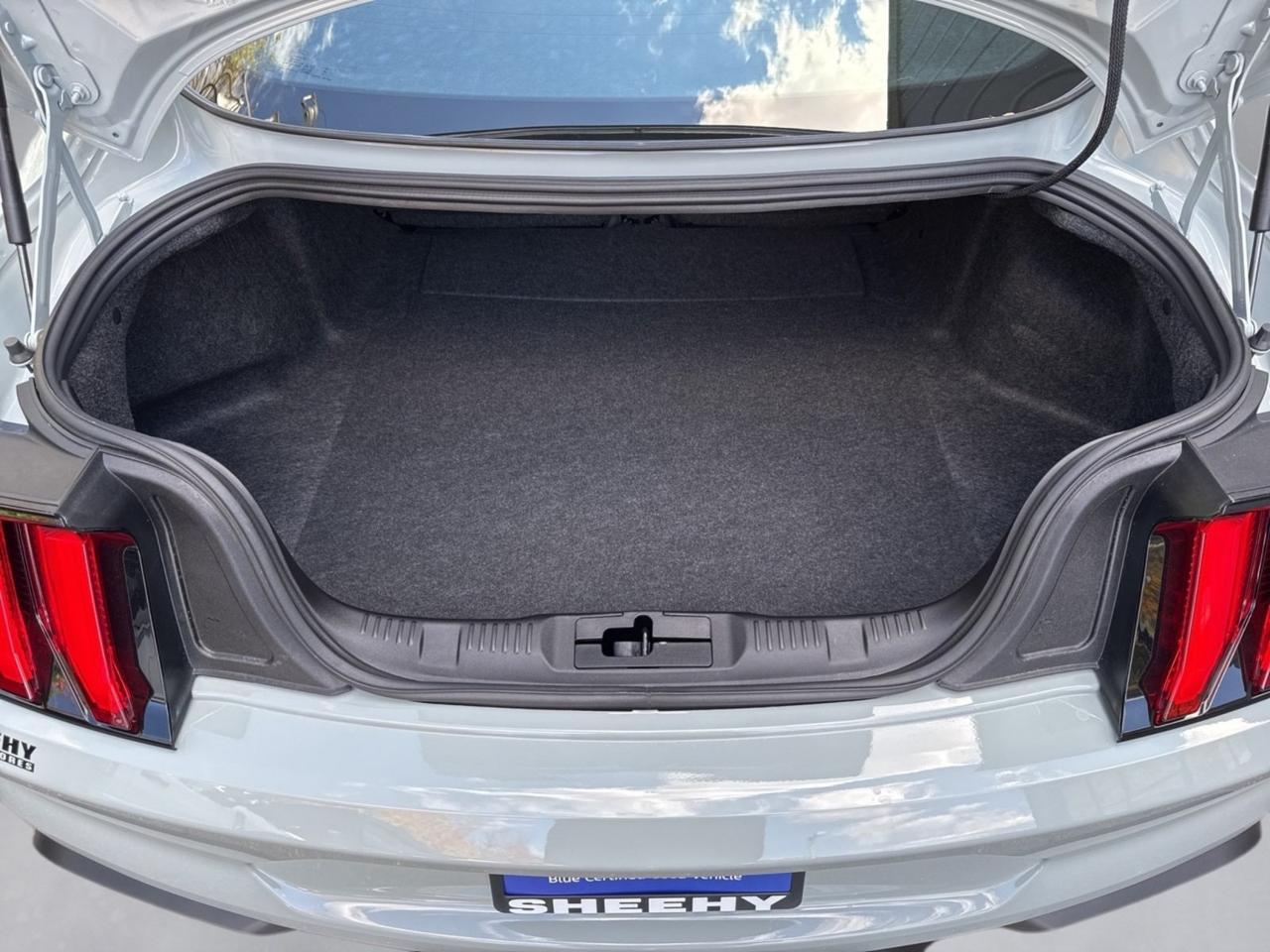 2022 Ford Mustang Mach 1 Warrenton VA