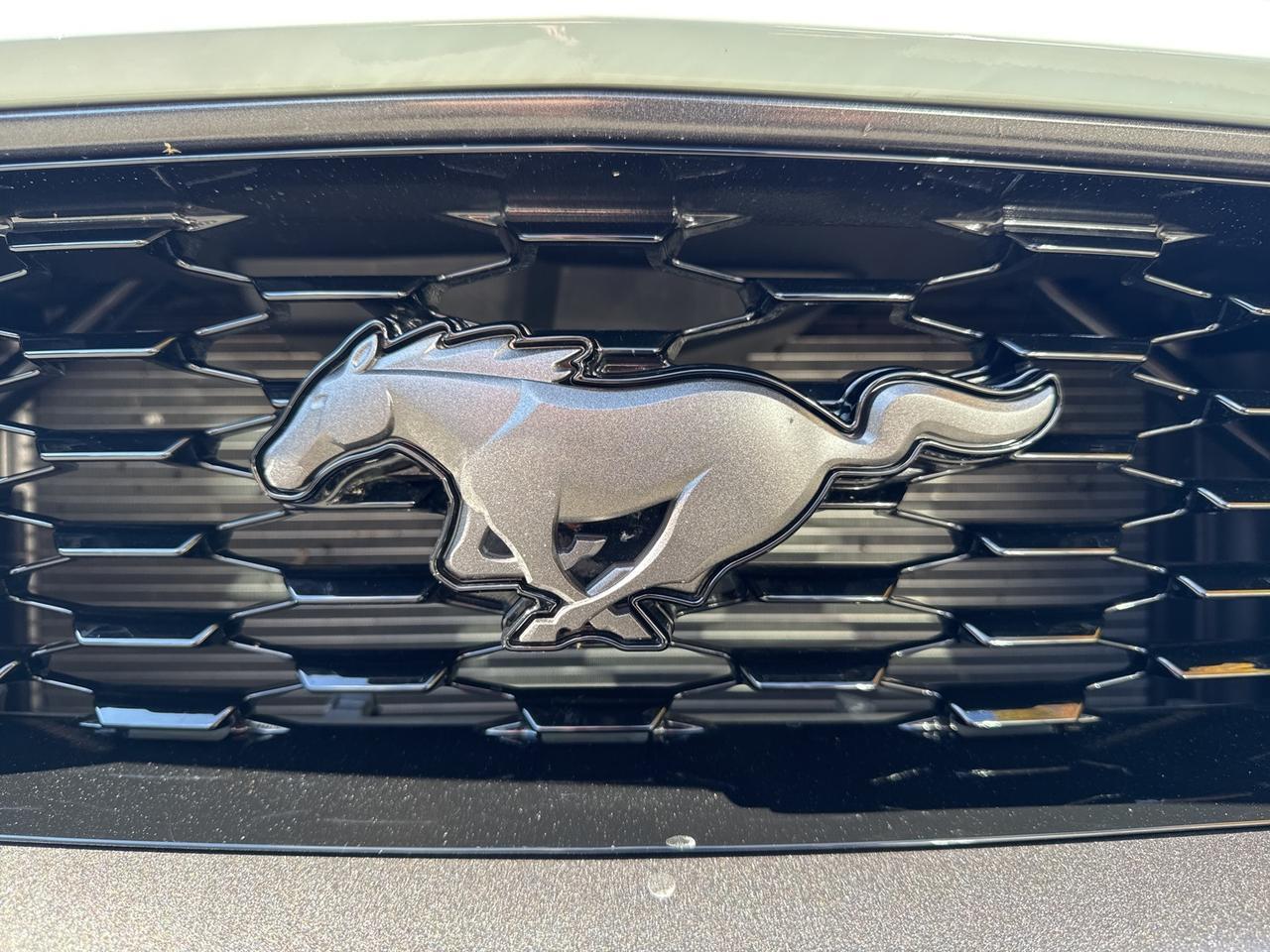 2022 Ford Mustang Mach 1 Warrenton VA