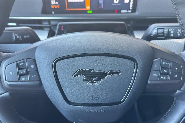 2022 Ford Mustang Mach-E California Route 1