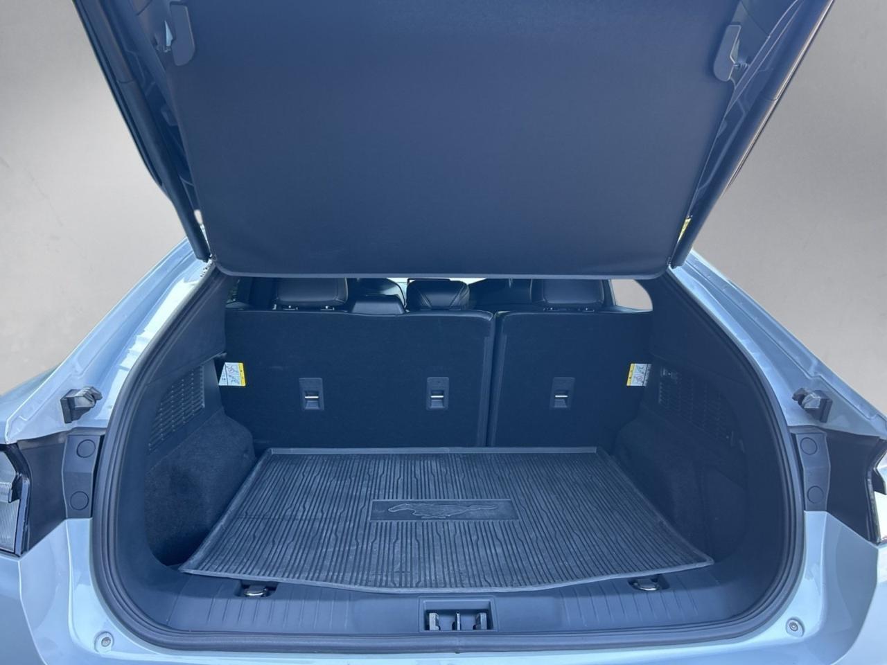 2022 Ford Mustang Mach-E GT Ashland VA