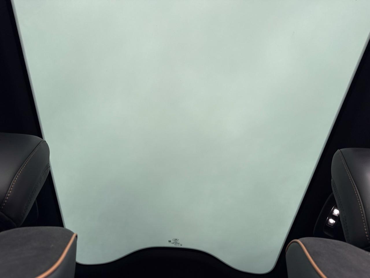 2022 Ford Mustang Mach-E GT Chantilly VA