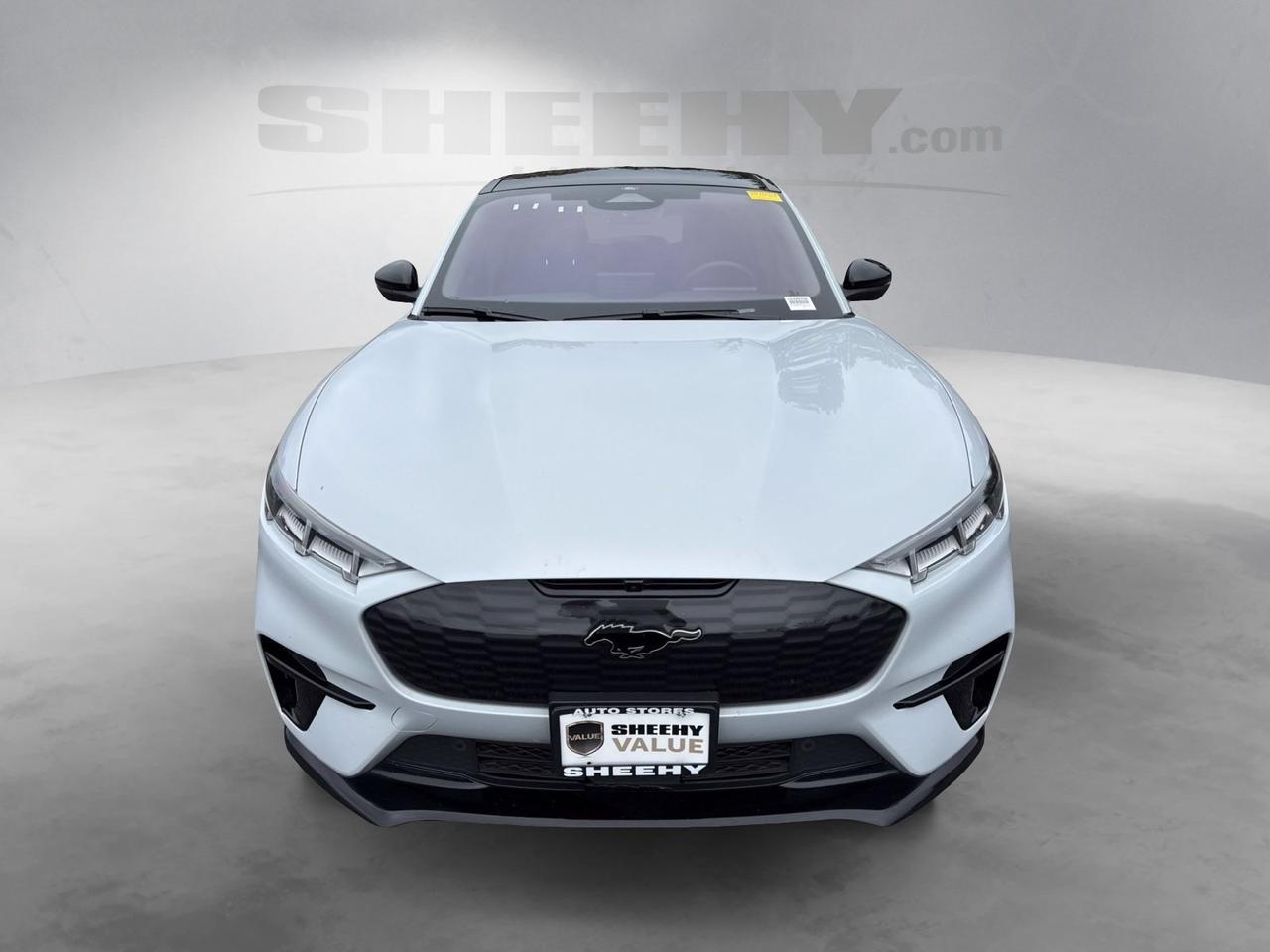 2022 Ford Mustang Mach-E GT Chantilly VA