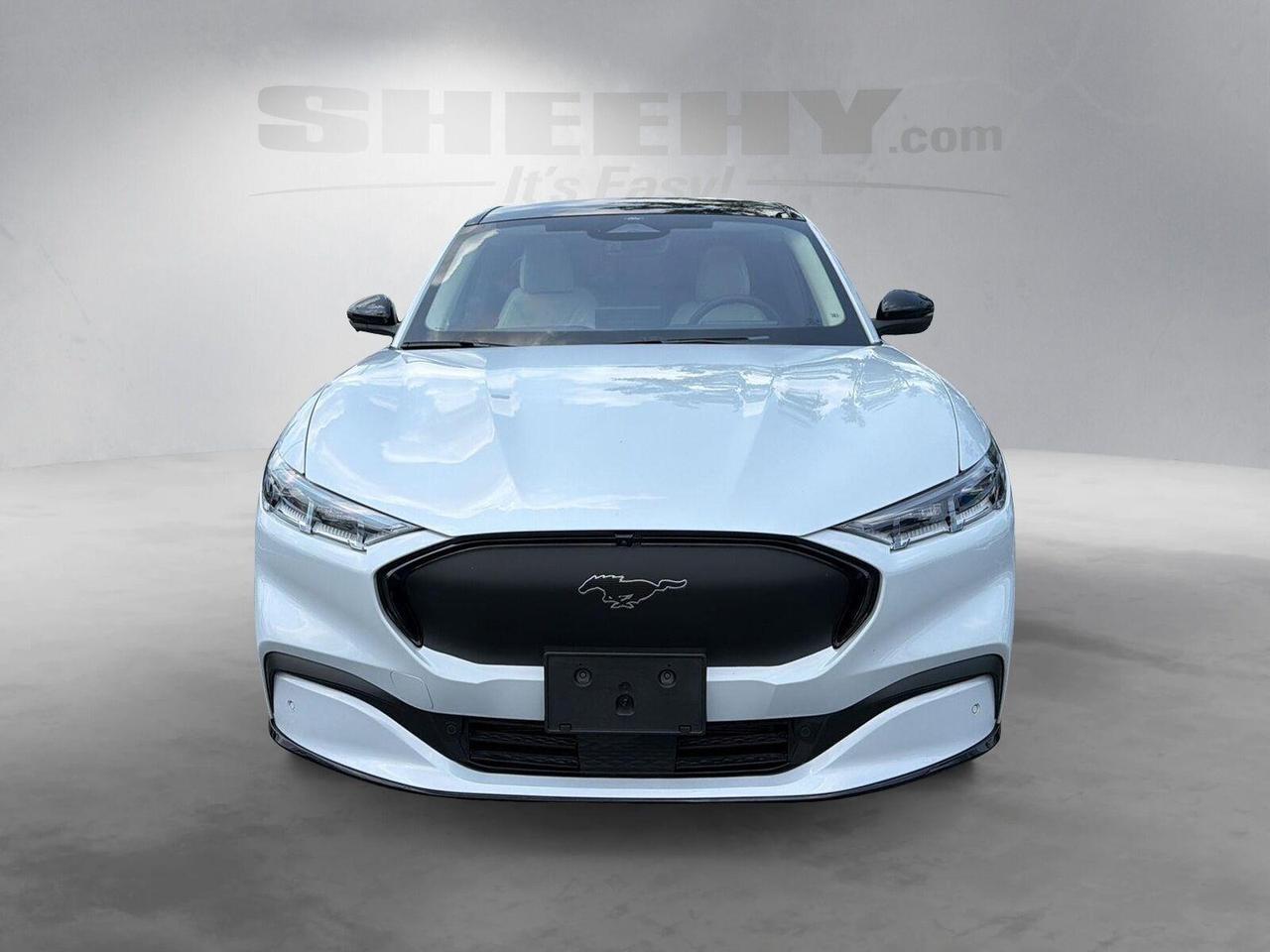 2022 Ford Mustang Mach-E Premium Gaithersburg MD