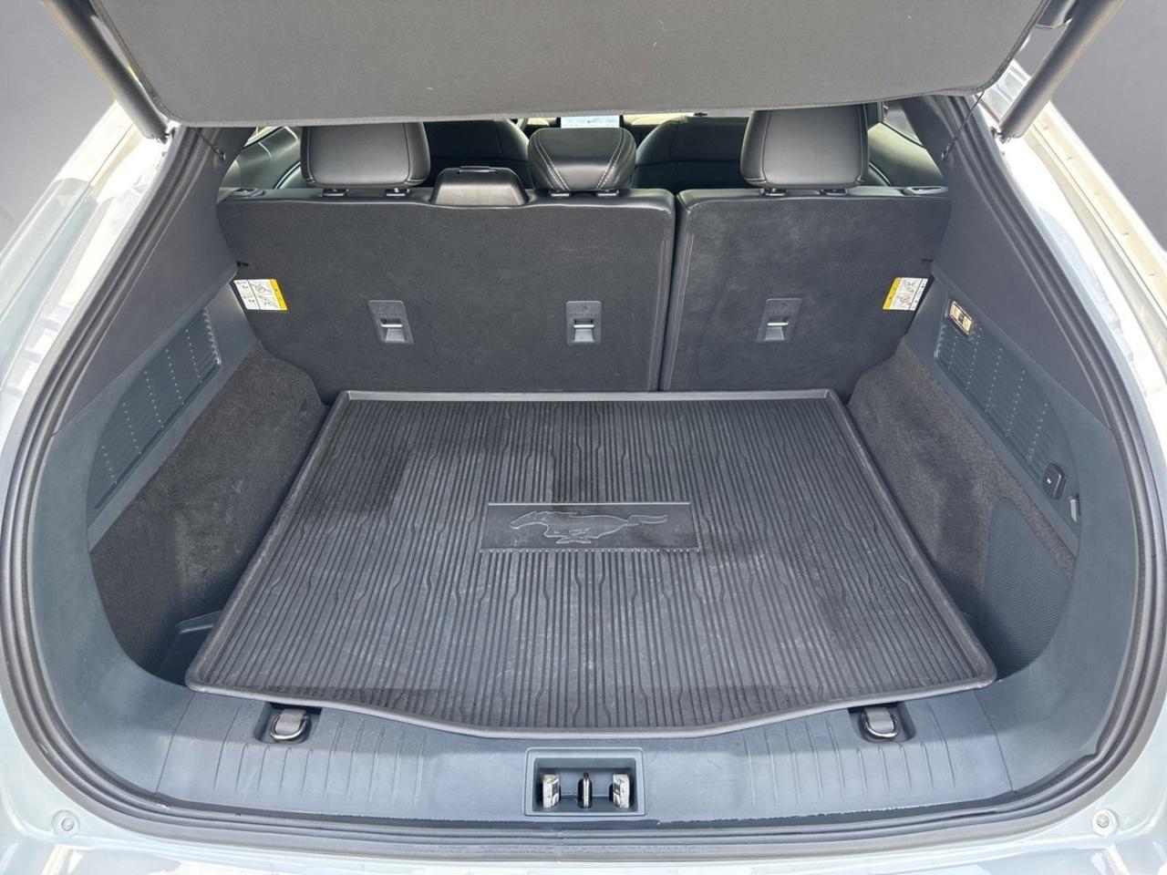 2022 Ford Mustang Mach-E Premium Warrenton VA