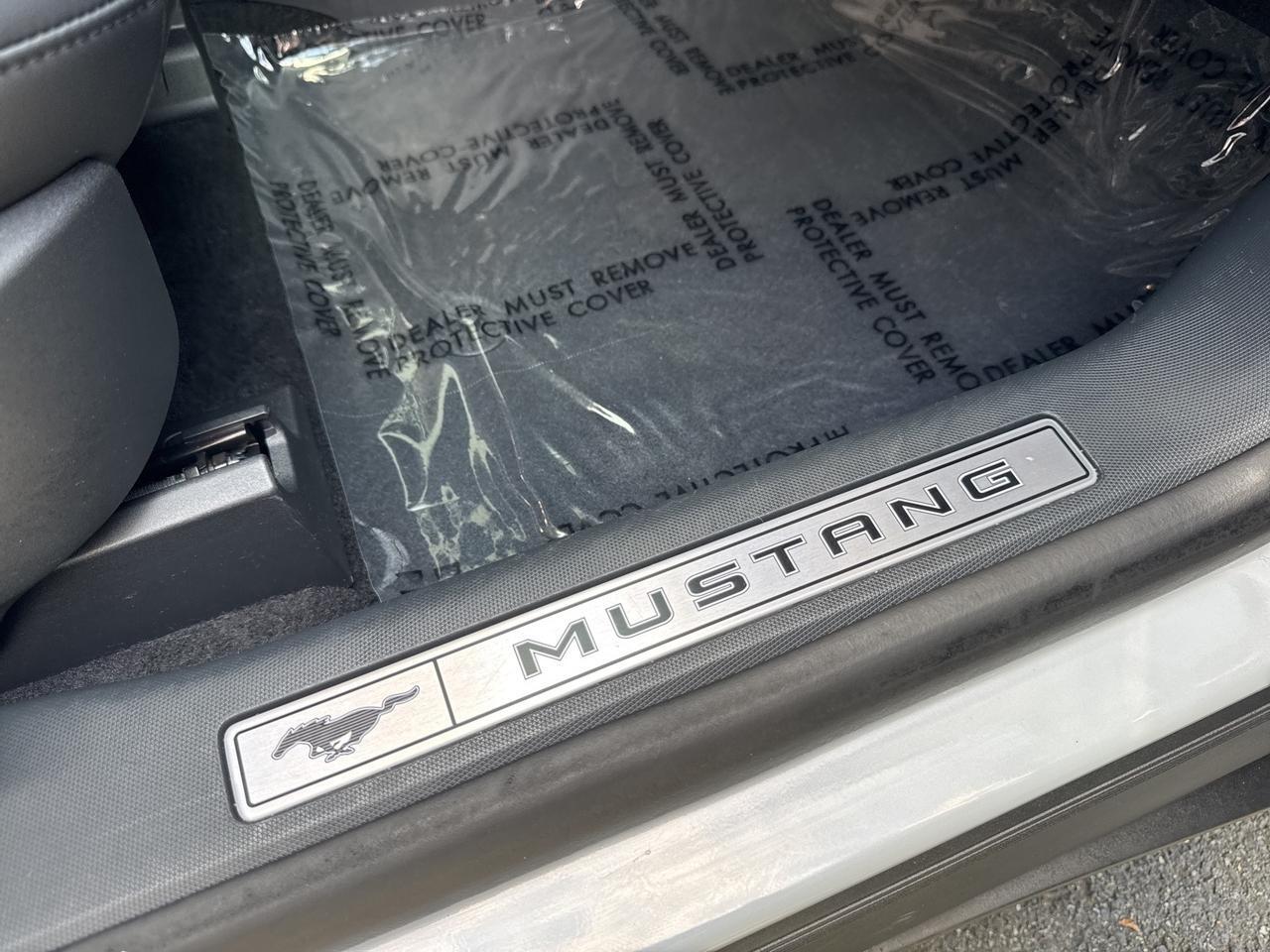 2022 Ford Mustang Mach-E Premium Warrenton VA