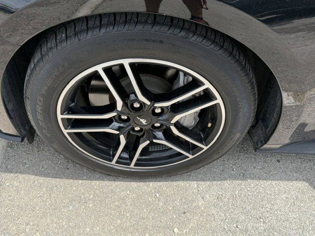 2022 Ford Mustang Premium New Braunfels TX