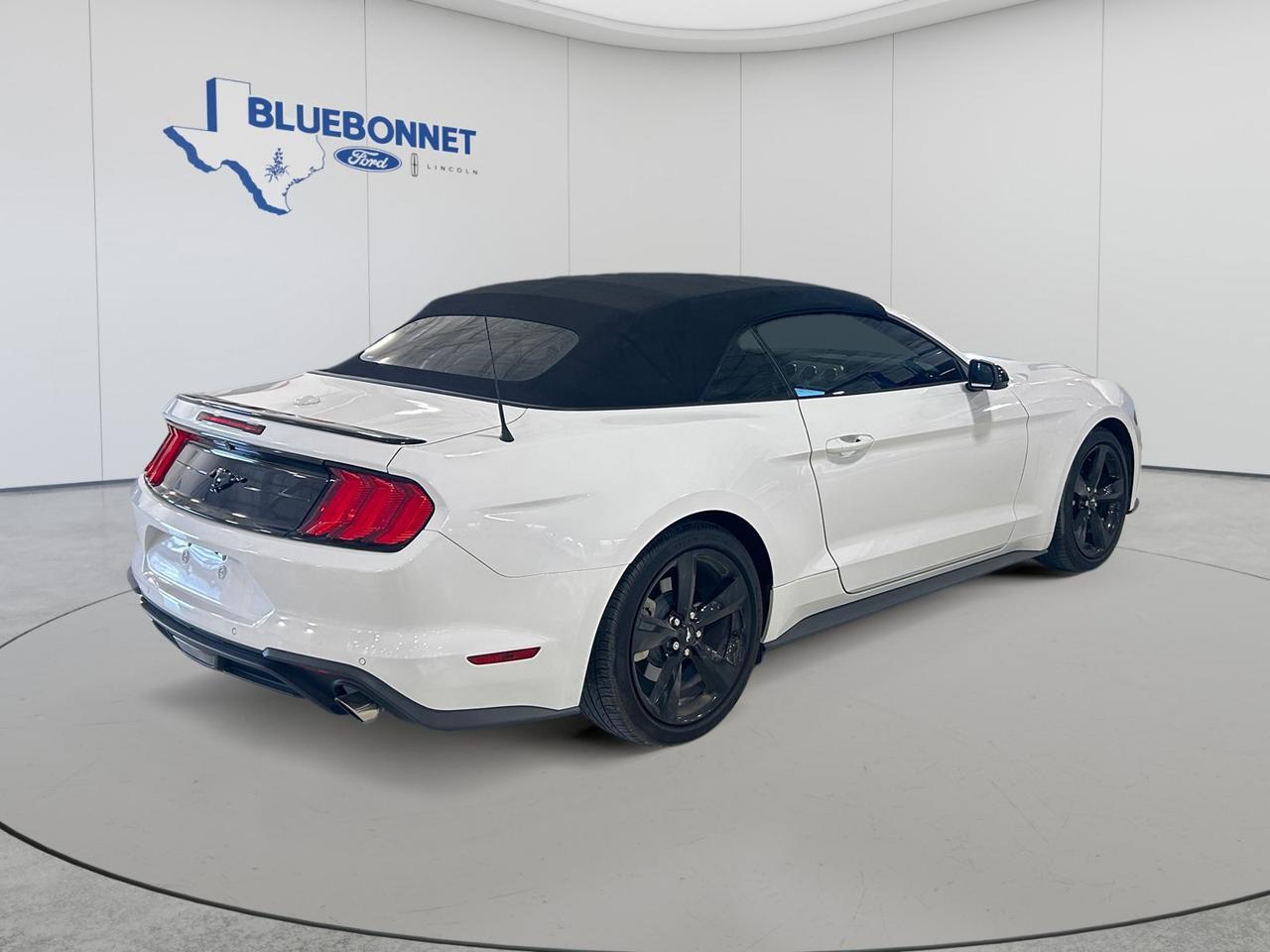 2022 Ford Mustang Premium New Braunfels TX