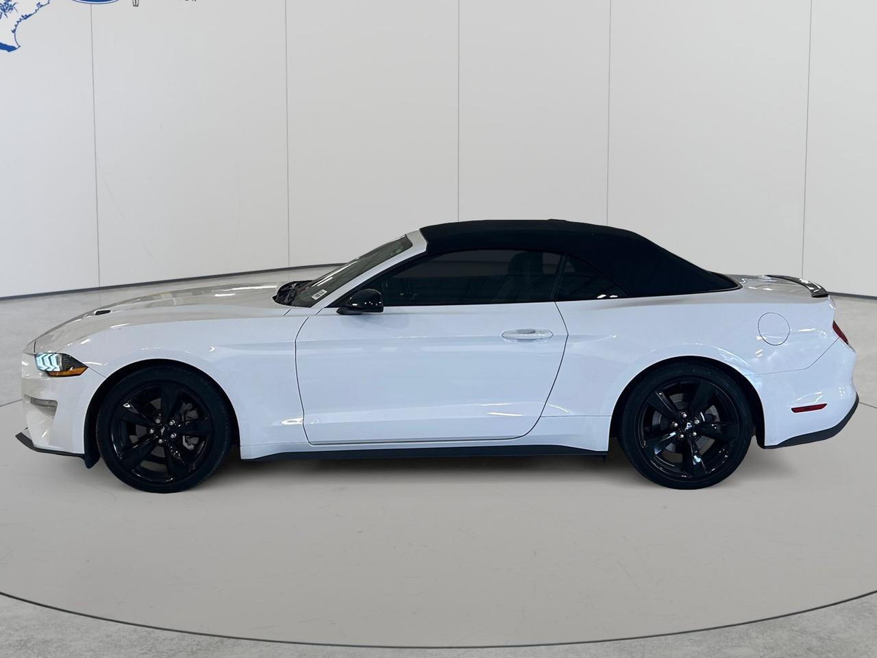 2022 Ford Mustang Premium New Braunfels TX