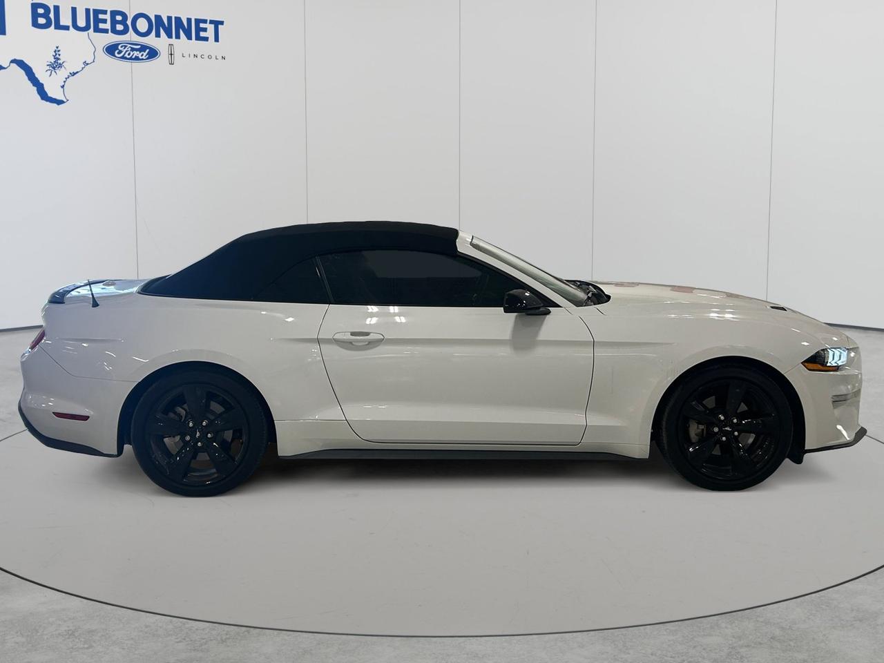 2022 Ford Mustang Premium New Braunfels TX