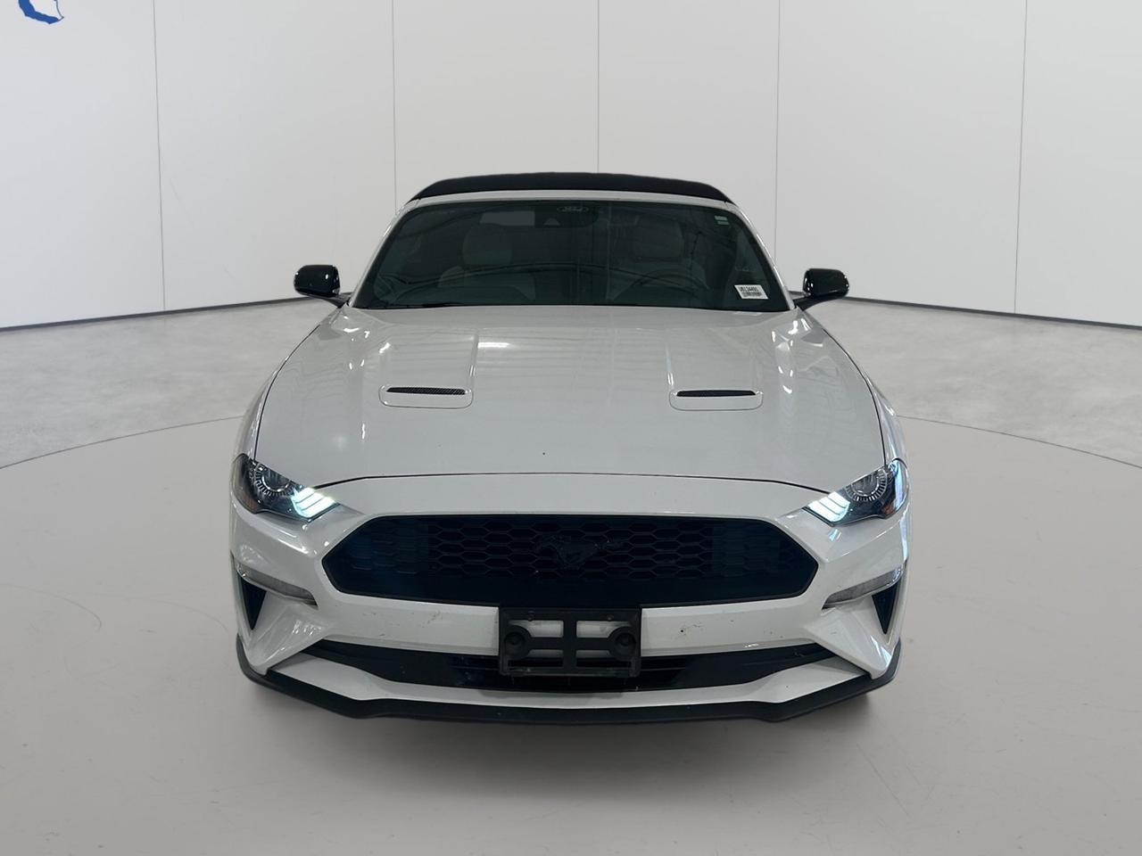 2022 Ford Mustang Premium New Braunfels TX