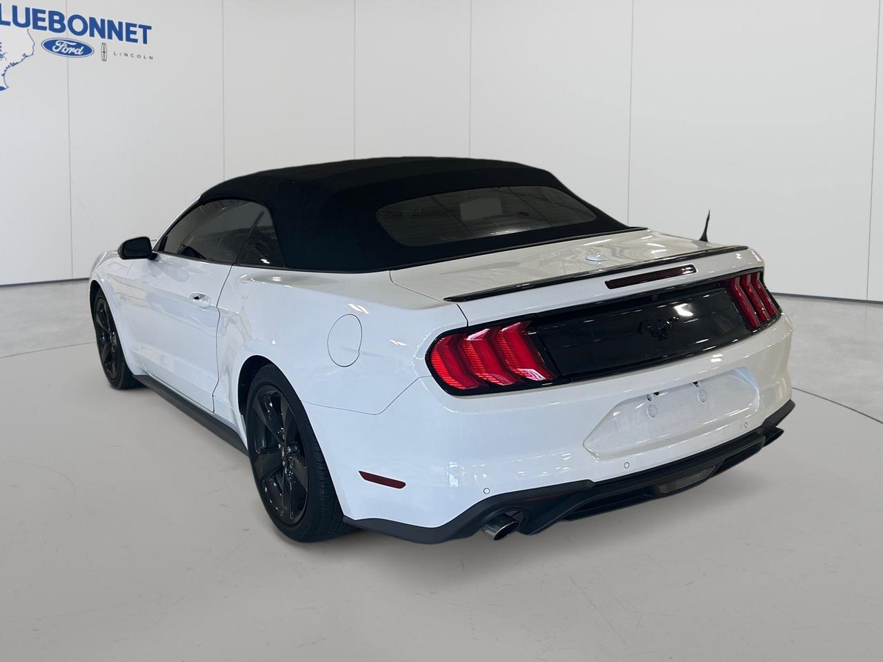 2022 Ford Mustang Premium New Braunfels TX