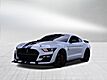 2022 Ford Mustang Shelby GT500