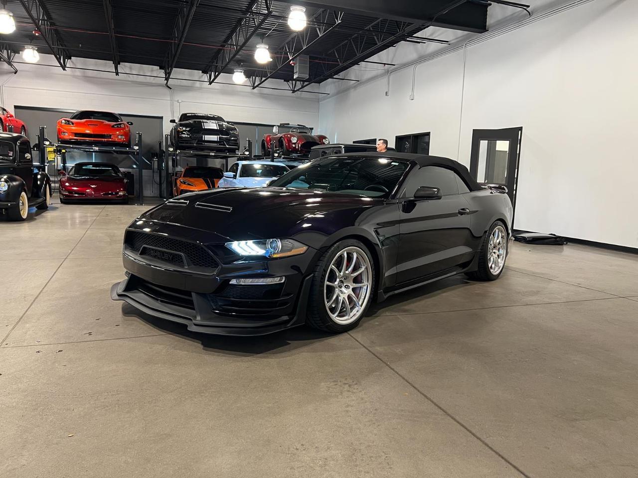 2022 Ford Mustang Super Snake Parker CO