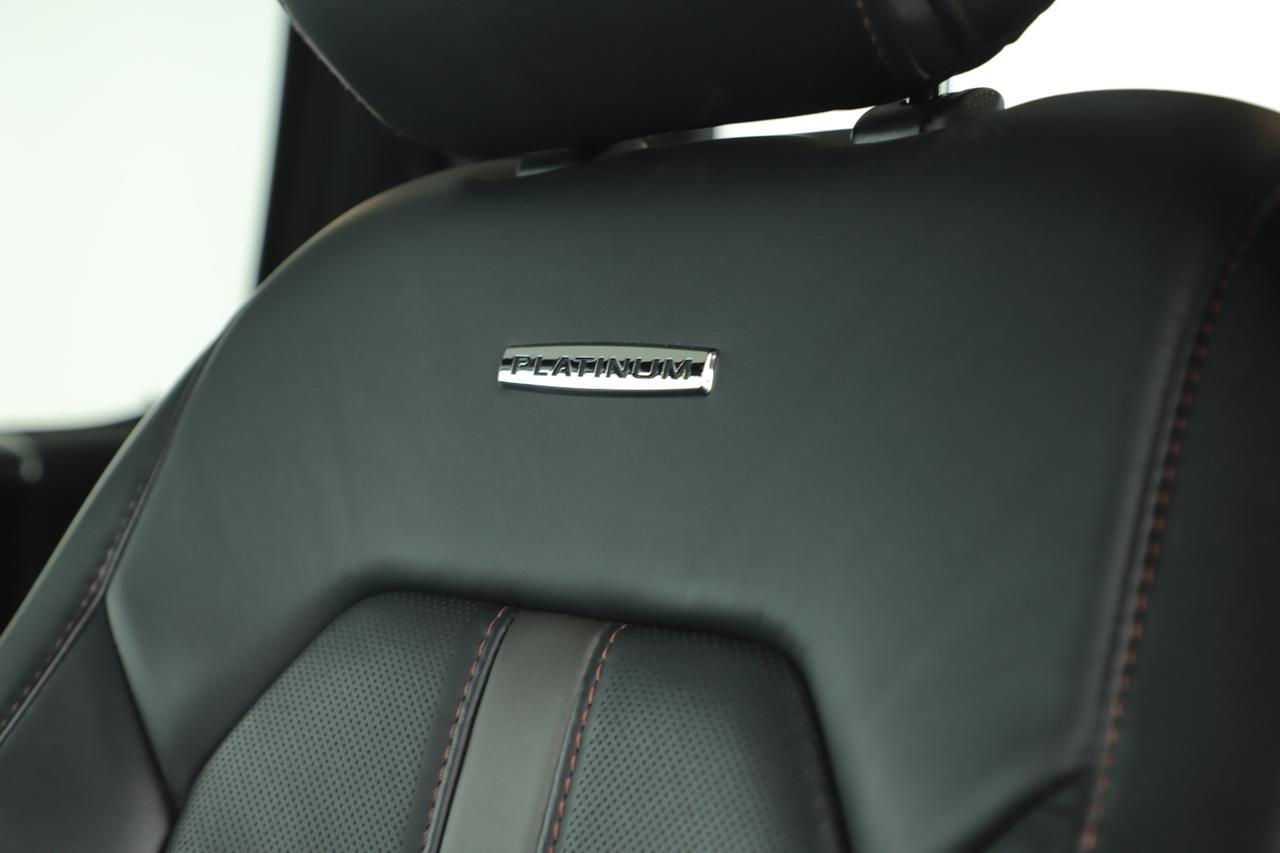 2022 Ford Super Duty F-250 SRW Platinum New Braunfels TX