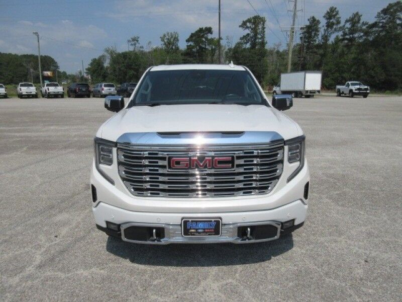 2022 GMC Sierra 1500 4WD Crew Cab 147 Denali Saint George SC