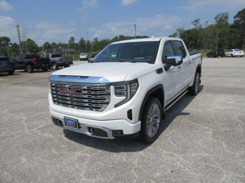 2022 GMC Sierra 1500 4WD Crew Cab 147 Denali Saint George SC