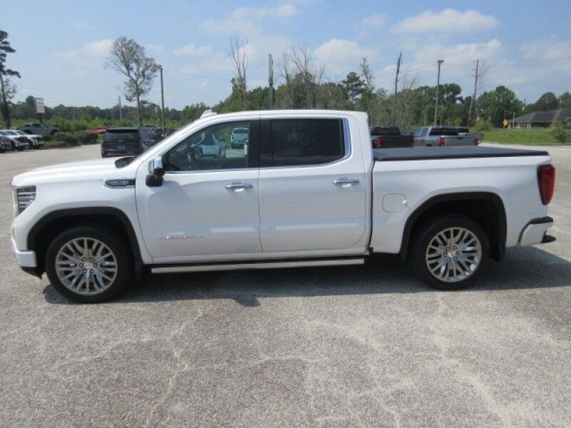2022 GMC Sierra 1500 4WD Crew Cab 147&quot; Denali Saint George SC