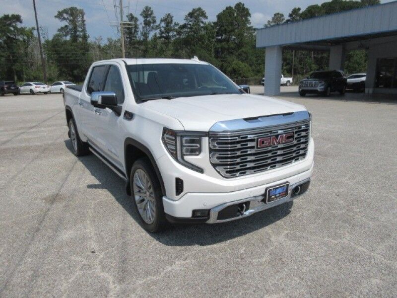 2022 GMC Sierra 1500 4WD Crew Cab 147&quot; Denali Saint George SC