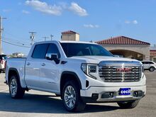 2022_GMC_Sierra 1500_Denali_  TX