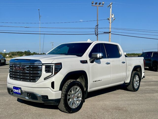 2022 GMC Sierra 1500 Denali  TX