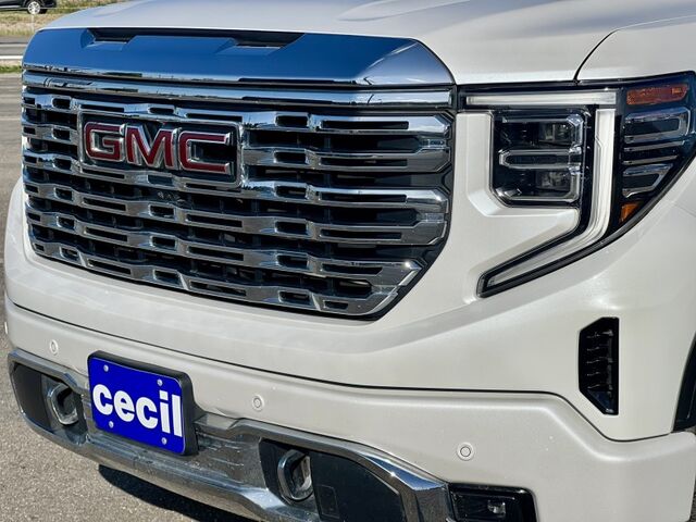 2022 GMC Sierra 1500 Denali  TX