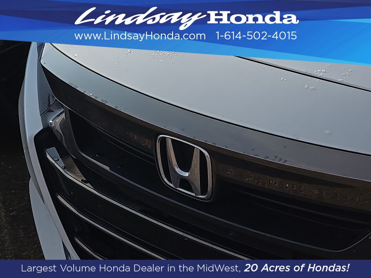 2022 Honda Accord Sport Special Edition Columbus OH