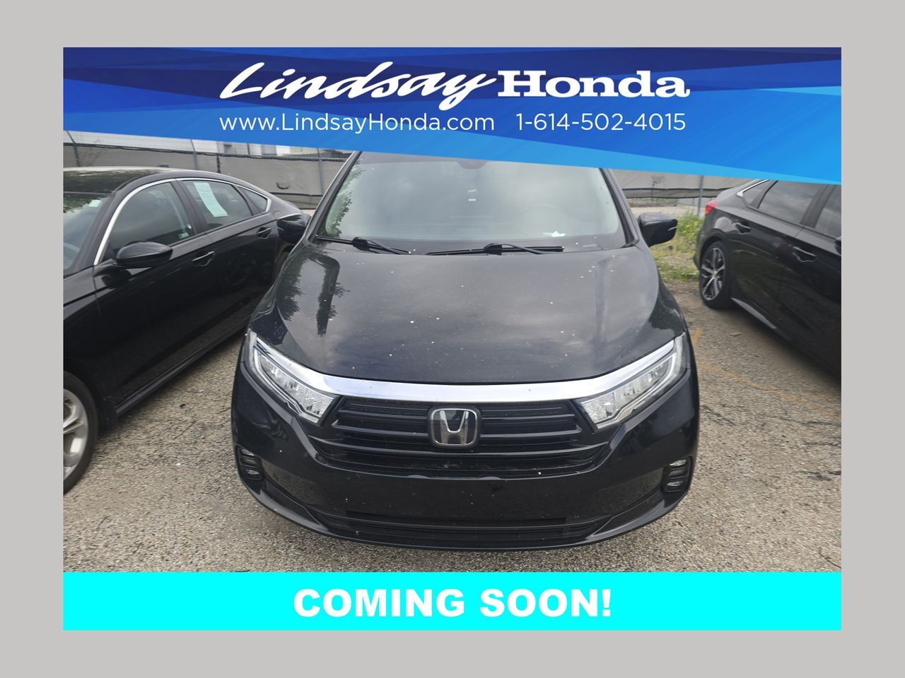 2022 Honda Odyssey Elite